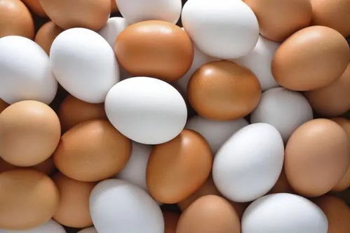 10大健康食品公布，大蒜上榜——健康咨询服务为您解读